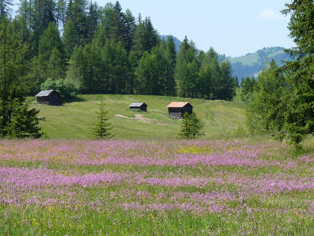 Апартаменты Ciasa Raut Ла-Валле Экстерьер фото